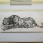 Drawing Antique Pencil On Basket Lion Lioness Animal Signed Dated 1937 BM53.2