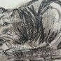 Drawing Antique Pencil On Basket Lion Lioness Animal Signed Dated 1937 BM53.2