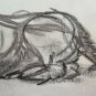 Drawing Antique Pencil On Basket Lion Lioness Animal Signed Dated 1937 BM53.2