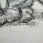 Drawing Antique Pencil On Basket Lion Lioness Animal Signed Dated 1937 BM53.2
