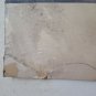 Painting Antique Painting oil On Board Signed Pancaldi Inside Nature Still P27