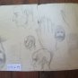 Drawing Antique On Basket Portrait Feminine Opera Painter Gaetano Pancaldi P28
