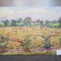 Painting Modern oil On Board landscape Campi Wheat IN Summer Original 1950 p1
