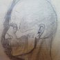 Studio For Faces And Expressions Antique Drawing On Basket Master Pancaldi P28