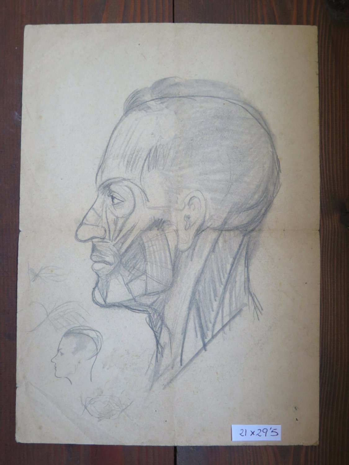 Drawing Antique Pencil On Basket Studio Anatomy For Face Human Skull P28