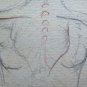 Two Antique drawings Sketching With Studio For Body Human Years' 40 P28.6