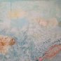 Large Painting Vintage With The Technical Of Frost Fishes Aquarium Sea P29