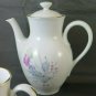 Service For Coffee' Tea Porcelain Richard Ginori Vintage PS11
