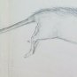 Mouse Old Drawing Sketch Studio Of Painter G.Pancaldi 1922-2014 P28.7