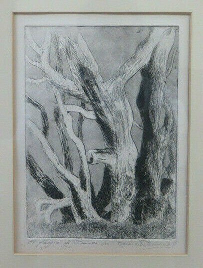 Old Etching Numbered Opera Artist Carmen Barucchi engraving Trees BM52