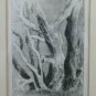 Old Etching Numbered Opera Artist Carmen Barucchi engraving Trees BM52