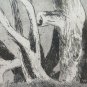 Old Etching Numbered Opera Artist Carmen Barucchi engraving Trees BM52
