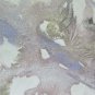 19 11/16x14 3/16in Cold landscape Winter Painting Vintage Technical Frost P14