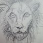 Lion Old Drawing Sketch Studio Of Painter G.Pancaldi 1922-2014 P28.7