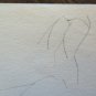 Sketch Pencil On Basket Drawing Studio For Body Feminine Vintage P28.5