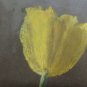 Antique Drawing A Pastel First Twentieth Century Theme Botanic Floral Blossom G4