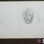 Lion Old Drawing Sketch Sketching Of Painter G.Pancaldi 1922-2014 P28.7