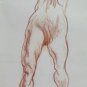 Old Drawing Sketch Studio Anatomical Body Male Legs Blood P28.9