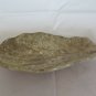 Antique plate IN Ceramic A Shell Half 'Twentieth Century Ceramic Plate R68