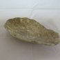 Antique plate IN Ceramic A Shell Half 'Twentieth Century Ceramic Plate R68