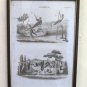 Engraving Antique Etching Trainers Publisher Giuseppe Pomba Torino '800 BM41
