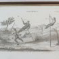 Engraving Antique Etching Trainers Publisher Giuseppe Pomba Torino '800 BM41