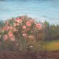 Campanile IN Hamlet Rollo Andora Savona Painting landscape Painting To oil vb2