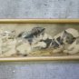 Old engraving Years' 60 With Kittens IN Frame Cats Cat Animal Vintage x1