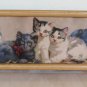 Old engraving Years' 60 With Kittens IN Frame Cats Cat Animal Vintage x1
