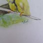 Old Painting Watercolour Vintage Chicks Ducklings Animals Signed BM53.6E