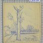 Landscape Countryside Old Drawing Sketch Pen On paper G.Pancaldi P28.10