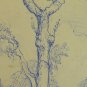 Landscape Countryside Old Drawing Sketch Pen On paper G.Pancaldi P28.10