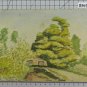 Small Painting To Watercolour Beginning Century landscape Woodland Swiss BM53.6D