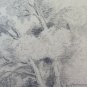 Drawing Antique Pencil On paper Signed landscape Woods Sketch France BM53.5F