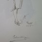 4 Antique Painted Signed F.Loussard For Costumes Of Gravin France 1892 BM53.6B