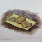 Nature Still Painted To Watercolour On paper Sketch Studio Preparatory P28