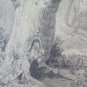 Drawing Antique of Extraordinary Quality' landscape Forces Bush Pencil paper