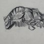 Two Old drawings Sketch Sketching Lobster Fisherman Pencil paper BM53.6D