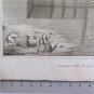 Engraving Antique Perspective Of Tonnara Nineteenth Century Fishing Tuna VS11