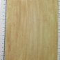 Small Painting Signed Richter Beginning Century Studio For A Jar BM53.6C