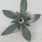 Wall Light Vintage Ceiling Light Chandelier Silhouette Flower Vintage CH.S.13