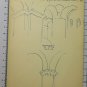 Old Drawing Sketch Inside Church Saint-Pierre-de-Clages Swiss BM53.6C