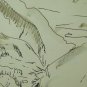 Antique Drawing China On paper landscape Alpine Swiss First '900 BM53.6C