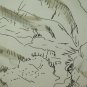 Antique Drawing China On paper landscape Alpine Swiss First '900 BM53.6C