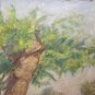 Old Painting Sketch landscape Countryside Summer Painting oil G.Pancaldi P1