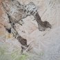 Painting Modern Abstract Watercolour Frosted On paper Horse Self-Portrait P35