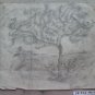 Tree For Fruit Old Sketch Pencil On paper Signed Drawing Spain MD10