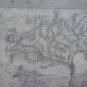 Tree For Fruit Old Sketch Pencil On paper Signed Drawing Spain MD10