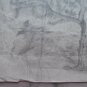 Tree For Fruit Old Sketch Pencil On paper Signed Drawing Spain MD10