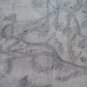 Tree For Fruit Old Sketch Pencil On paper Signed Drawing Spain MD10